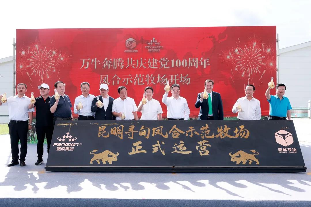 1626742939141540.jpg 9.jpg