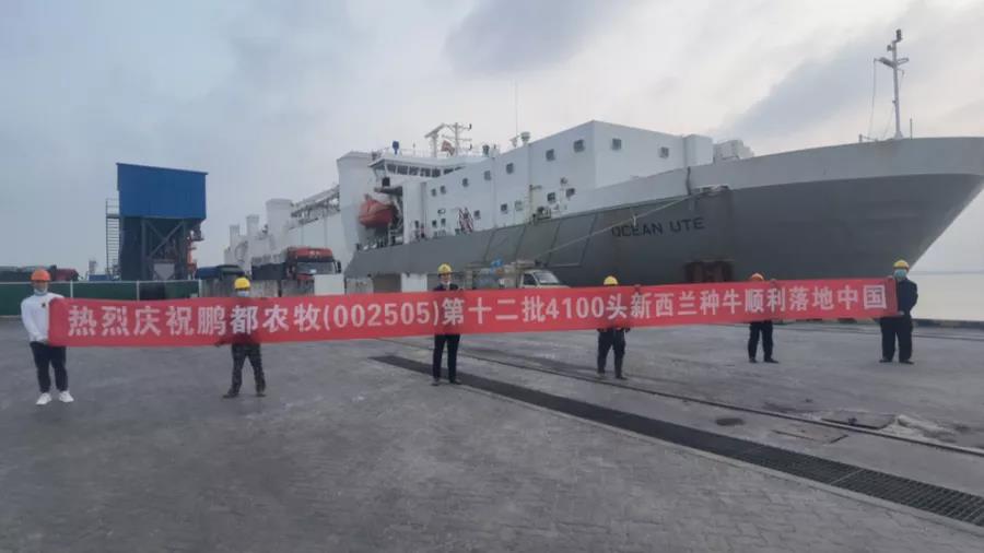 1643273546400436.jpg WeChat Image_20220127165211.jpg