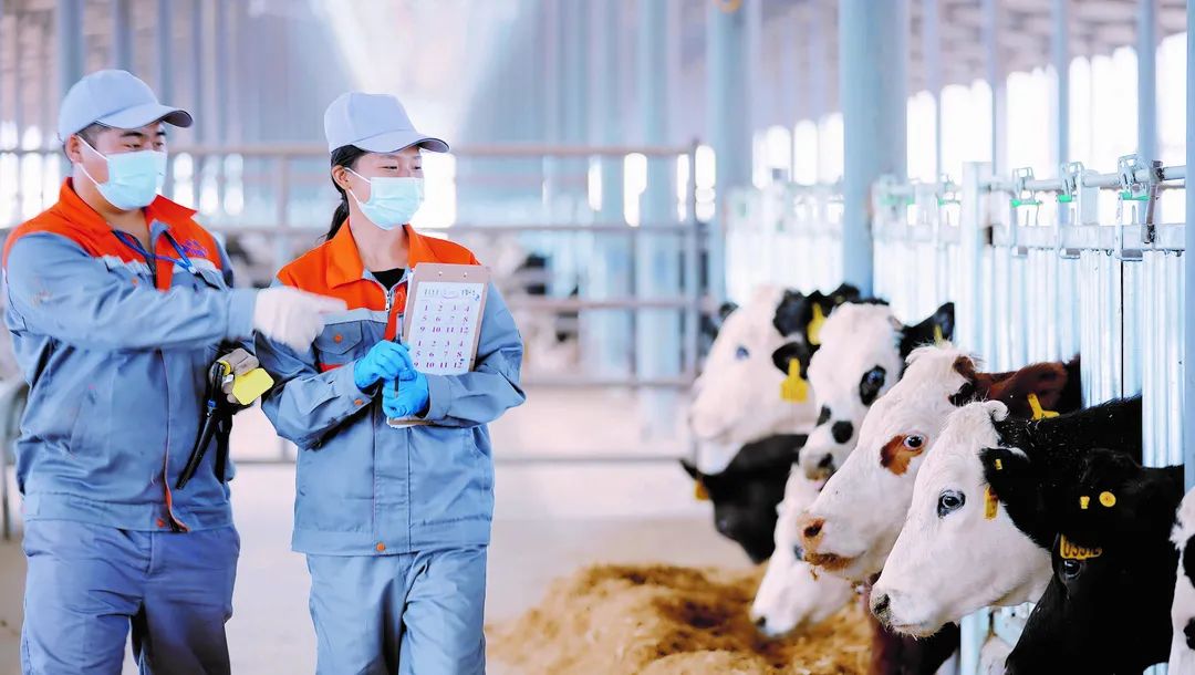 1646191978686796.jpg WeChat Image_20220302113242.jpg