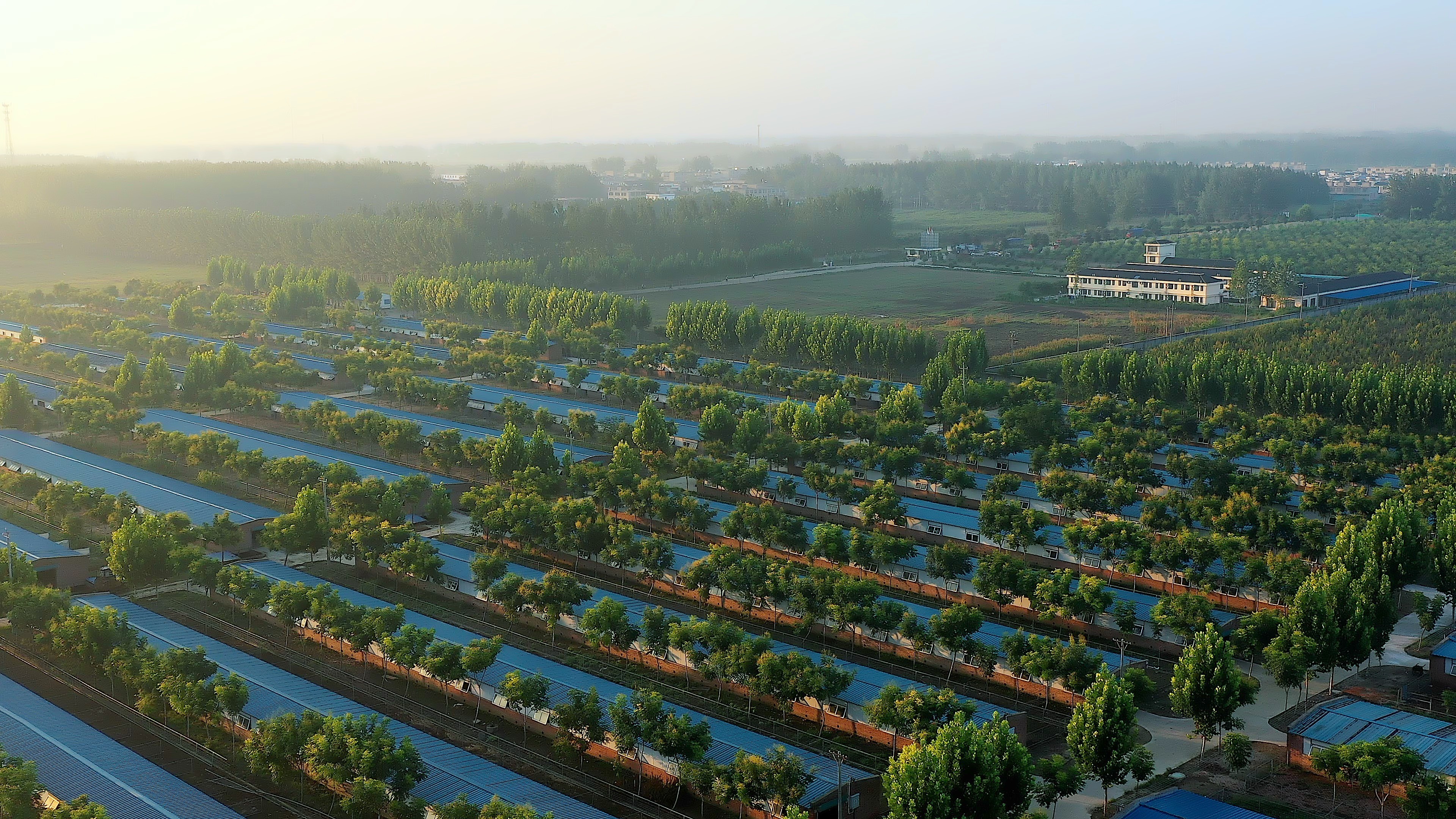 1685948584314806.jpg 照片31.jpg